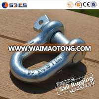 Galvanized Screw Pin US Type Steel Drop Forged D Shackle